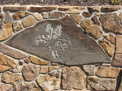 Stone Leaf Carving 3